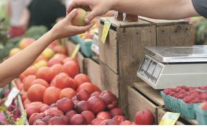 Comercio Irregular X Comercio Formalizado – Conheça Os Pros E Contras - Contabilidade em Salvador | Contabilize Assessoria