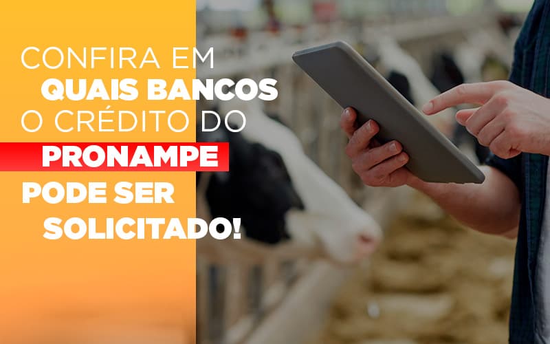 confira-em-quais-bancos-o-credito-pronampe-ja-pode-ser-solicitado - Confira em quais bancos o crédito do Pronampe já pode ser solicitado!